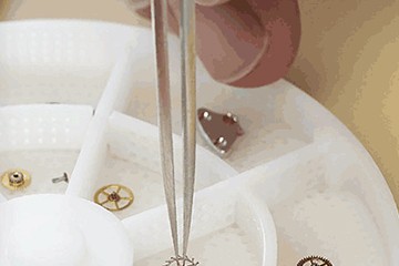 温州江诗丹顿手表官方售后在那里